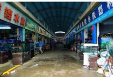 �����л��ػ�����������г�ͼƬ