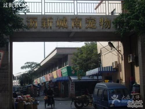 佛山南海大沥新城南宠物市场 大沥宠物精品街