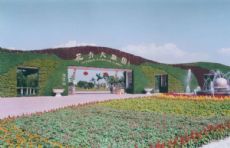 广东佛山花卉批发市场:陈村花卉世界
