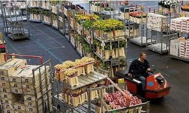 荷兰阿斯米尔鲜花市场