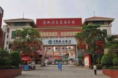 南宁广西花鸟交易市场