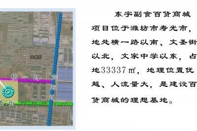 东宇副食百货批发商城 山东寿光东宇副食百货批发商城基本概况