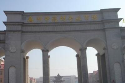 河南禹州中药材专业市场 河南禹州中药材专业市场中华药城地址概况一览
