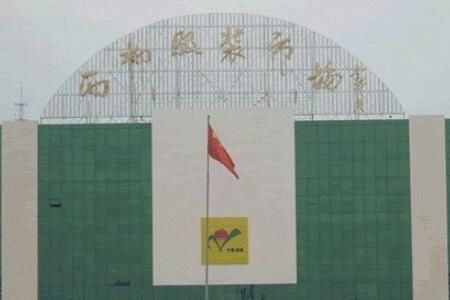 辽宁 沈阳五爱和辽宁西柳哪个服装批发市场拿货便宜
