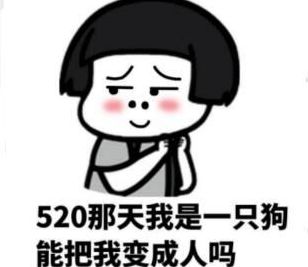520 关于520单身狗发的搞笑说说图片大全