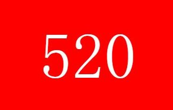 520��������ʲô�����
