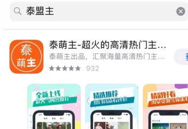 泰萌主 泰萌主为什么验证不了