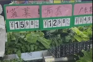蔬菜 蔬菜价格高位运行什么时候才会降价