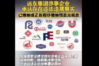 台湾远东集团 台湾远东集团在大陆投资企业被查处怎么回事