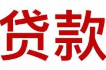 贷款 政府代偿债务是什么意思 赔偿与债务转让的区别