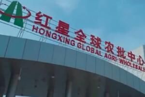 ���Ϻ���ˮ�������г���Ǩ��������