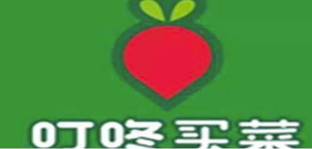 叮咚买菜 叮咚买菜几点预约抢菜