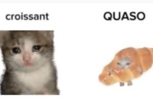 ��������è��Ƶ����������ʲô��