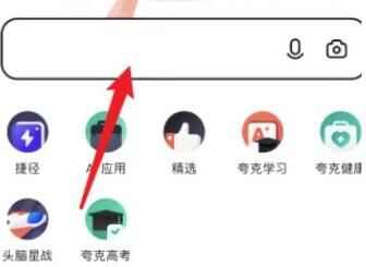 �����ô�򿪴�Ҷ�����������վ
