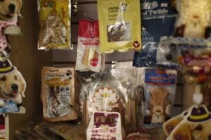 开店 想开一家宠物店利润大不大赚钱吗