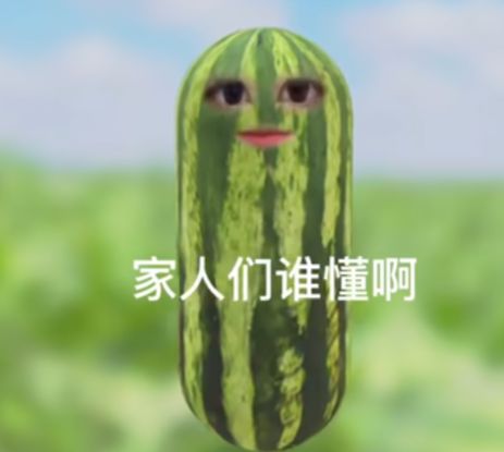 表情包 家人们谁懂啊表情包
