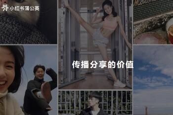 小红书 小红书蒲公英平台入口在哪