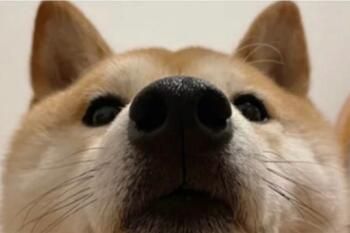 ллС����ʲô��˼