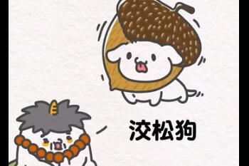 梗 水狗经是什么梗