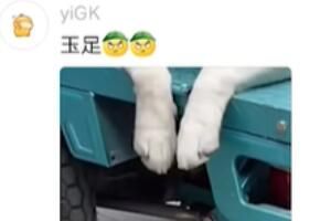 梗 狱卒是什么梗