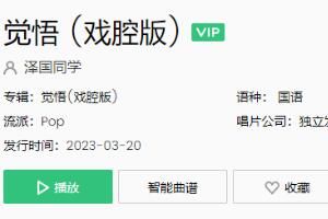 歌 我是配角怎敢吃醋我是过客早有觉悟是什么歌