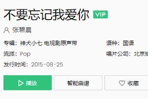 歌 可是你要我怎样忘记你留给我的回忆是什么歌
