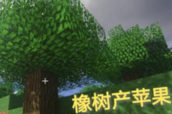 梗 牛顿MC我不管是什么梗