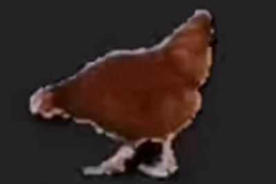 ����ү����ʲô��