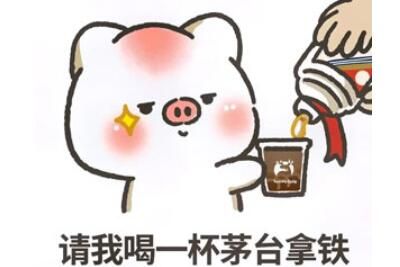 梗 茅瑞cp是什么梗