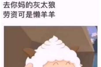 ���ӿ�����������ʲô��