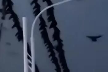 地震 甘肃地震前后乌鸦成群?专家解读