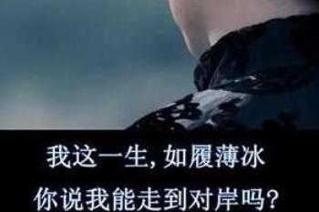 梗 我这一生如履薄冰是什么梗